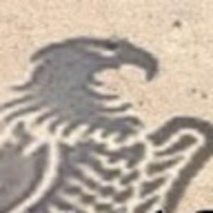 Meet your Posher, Alexander elan agraviador